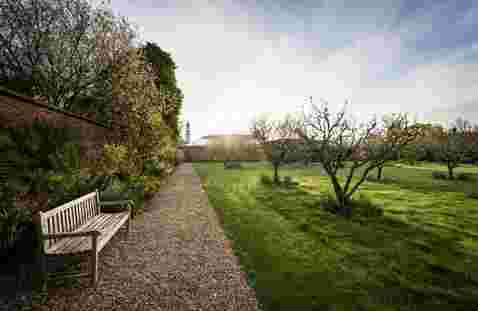 medium-2016-05_orchard_cs_hh-3.jpg (1)