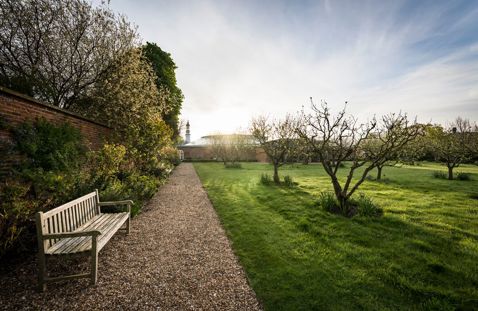 medium-2016-05_orchard_cs_hh-3.jpg (1)