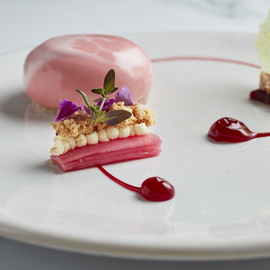 230223_raciti_yorkshire_rhubarb_09.jpg